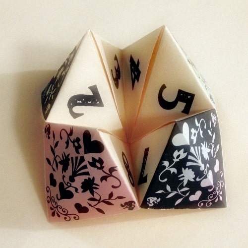 picture of cootie catcher