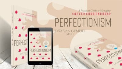 cover of Perfectionism