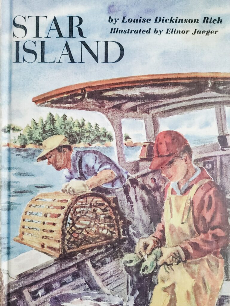 cover of Star Island by Louise Rich
